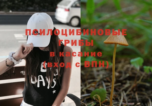 винт Алексин
