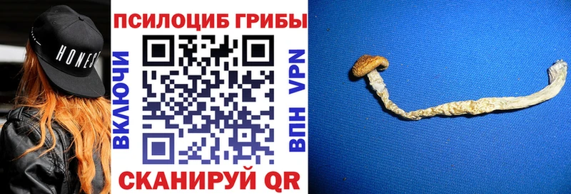 магазин  наркотиков  KRAKEN ТОР  Псилоцибиновые грибы GOLDEN TEACHER  Игра 